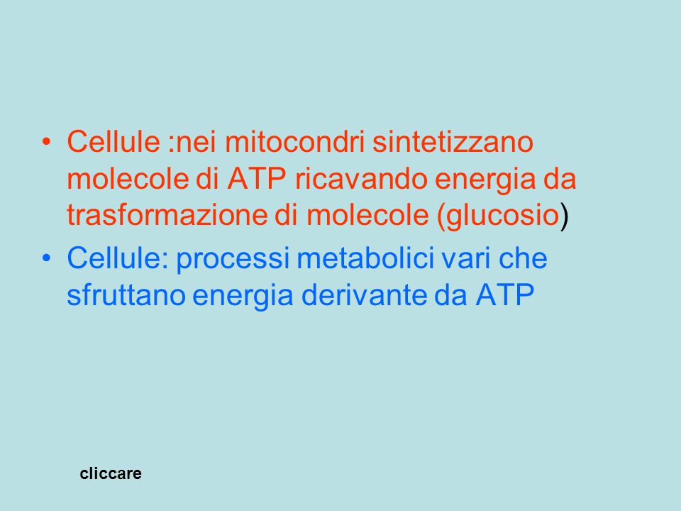 Cellule :nei mitocondri sintetizzano molecole di ATP ricavando energia da trasformazione di molecole (glucosio)