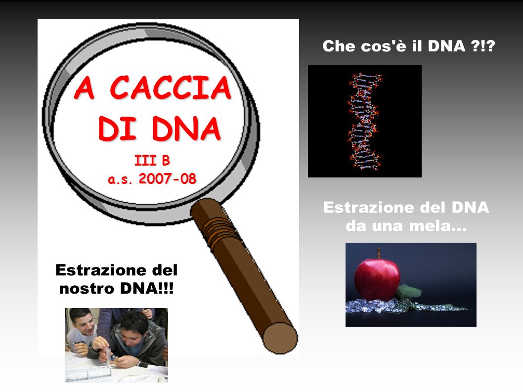 Estrazione del DNA da una mela... Estrazione del nostro DNA!!!