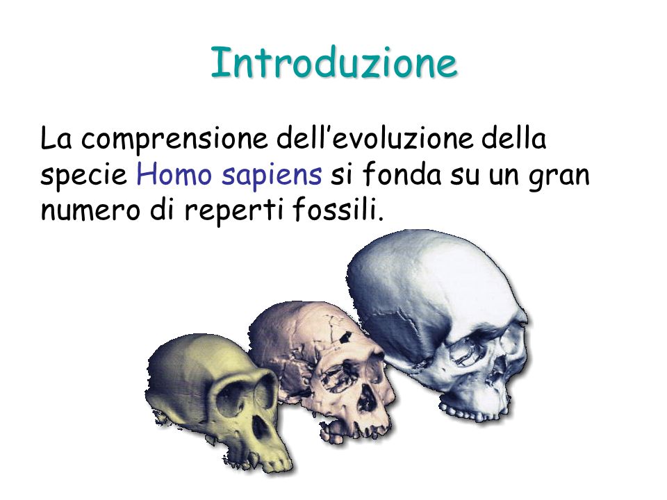 Introduzione La comprensione dell’evoluzione della specie Homo sapiens si fonda su un gran numero di reperti fossili.