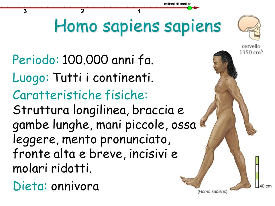 Homo sapiens sapiens Periodo: anni fa.