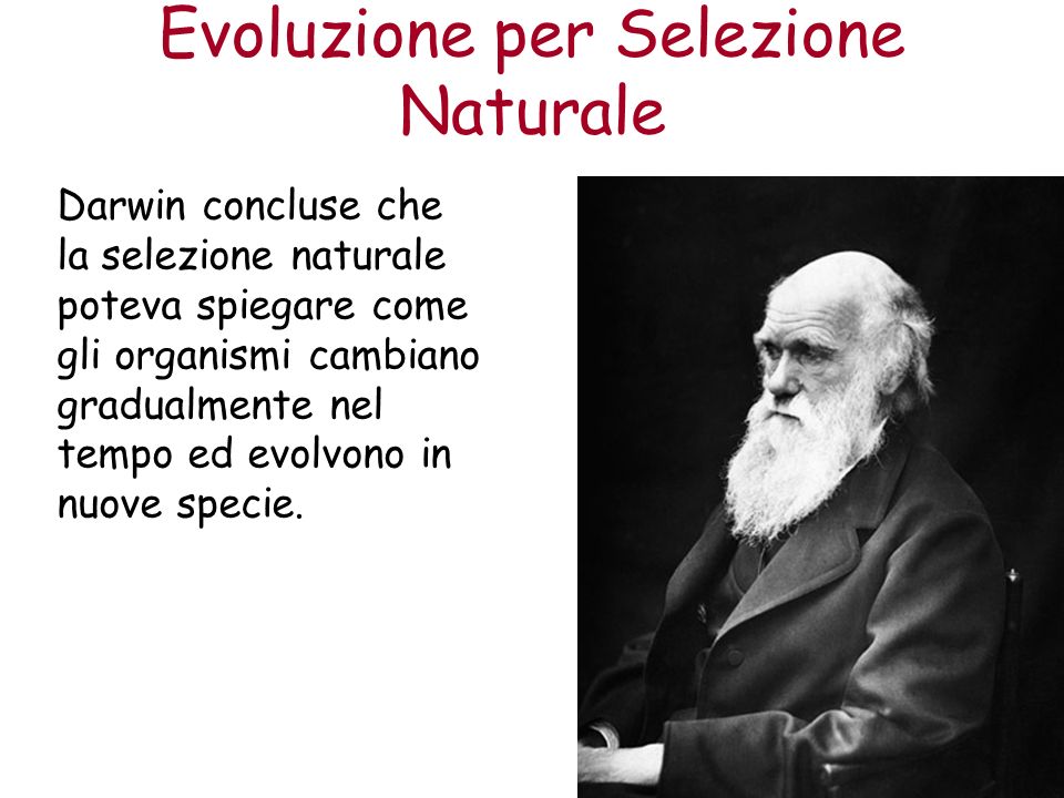 Evoluzione per Selezione Naturale