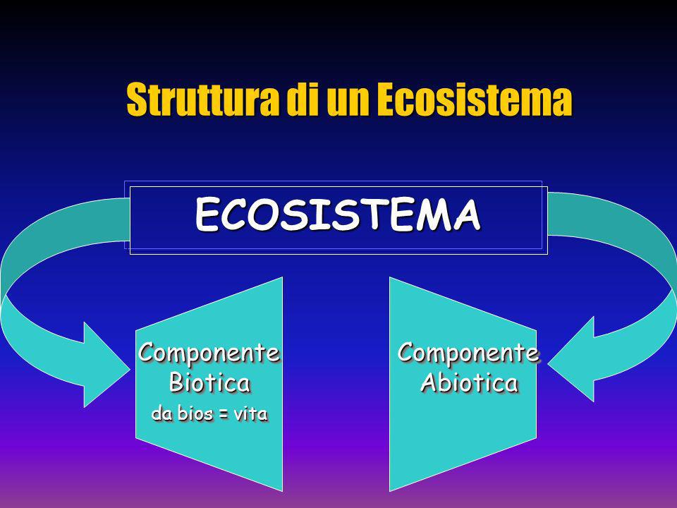 Struttura di un Ecosistema
