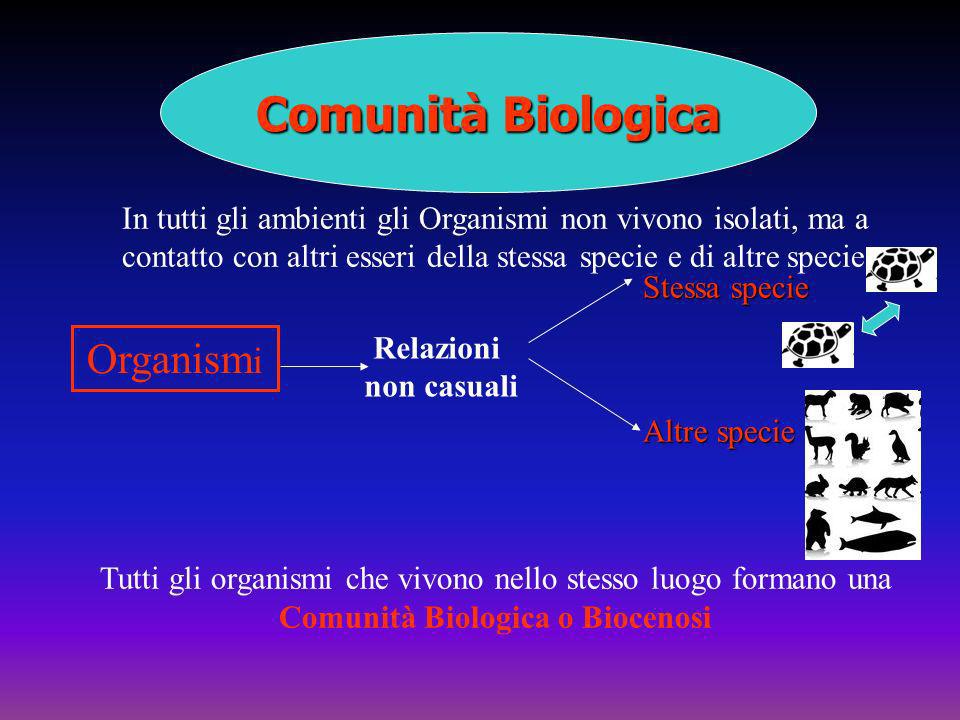 Comunità Biologica Organismi