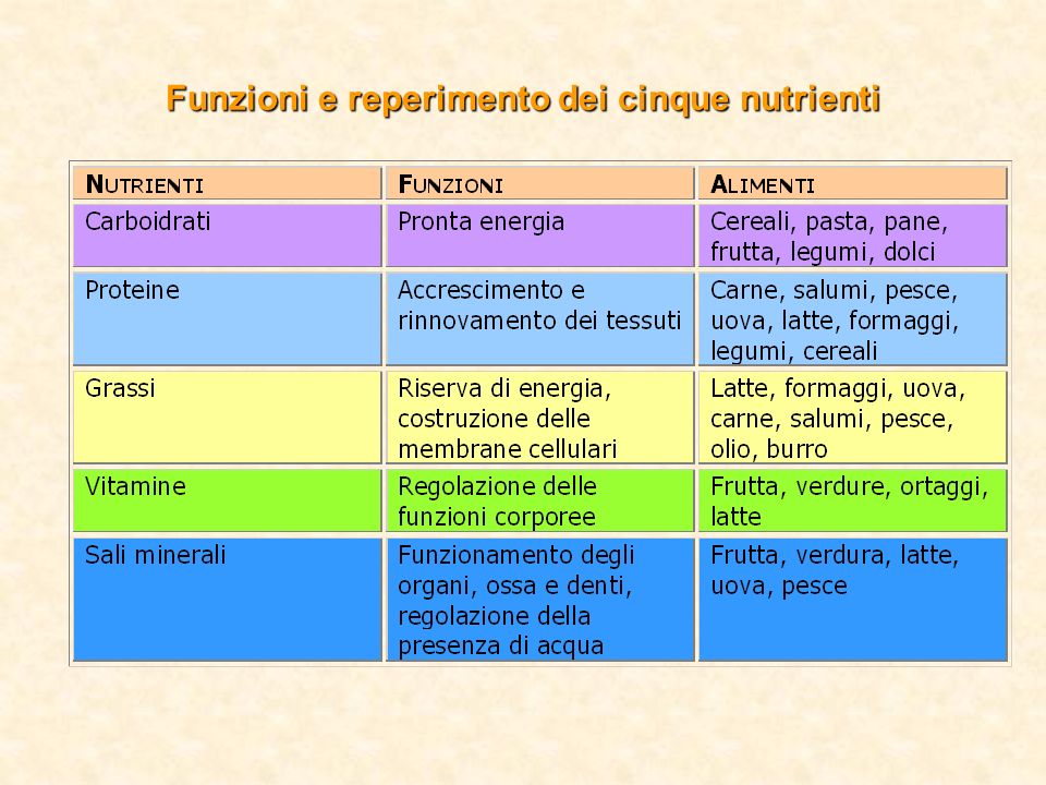 Funzioni e reperimento dei cinque nutrienti