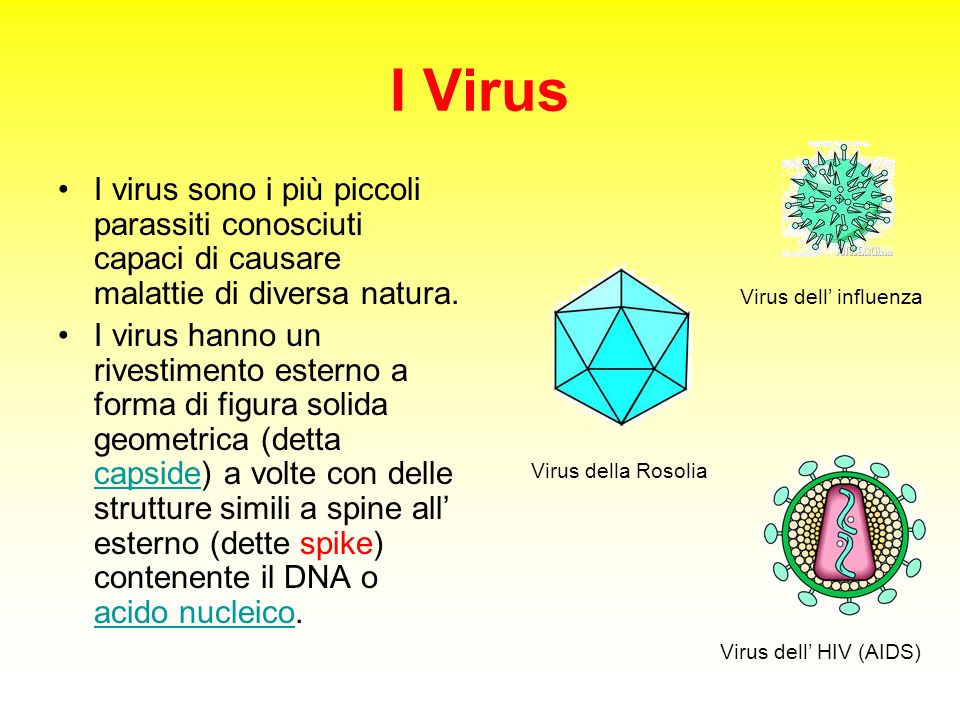 I Virus I virus sono i più piccoli parassiti conosciuti capaci di causare malattie di diversa natura.
