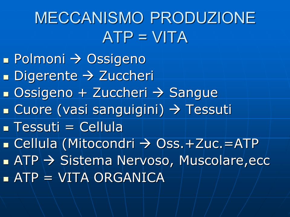 MECCANISMO PRODUZIONE ATP = VITA