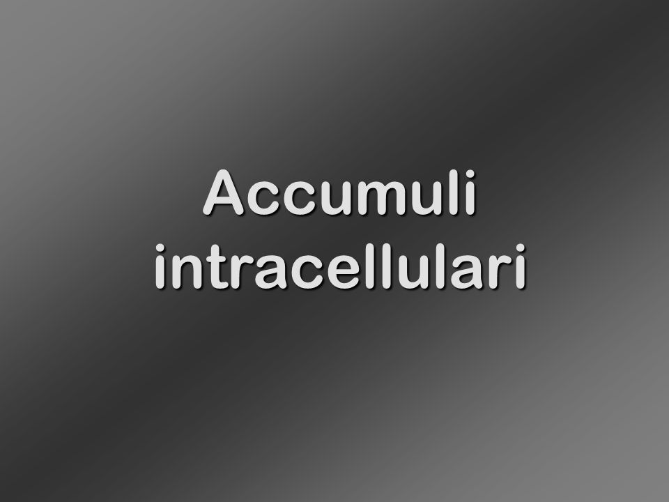 Accumuli intracellulari