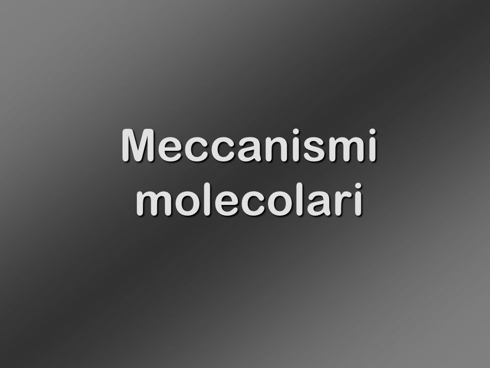 Meccanismi molecolari