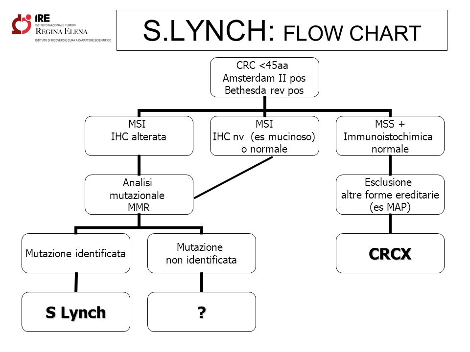 S.LYNCH: FLOW CHART