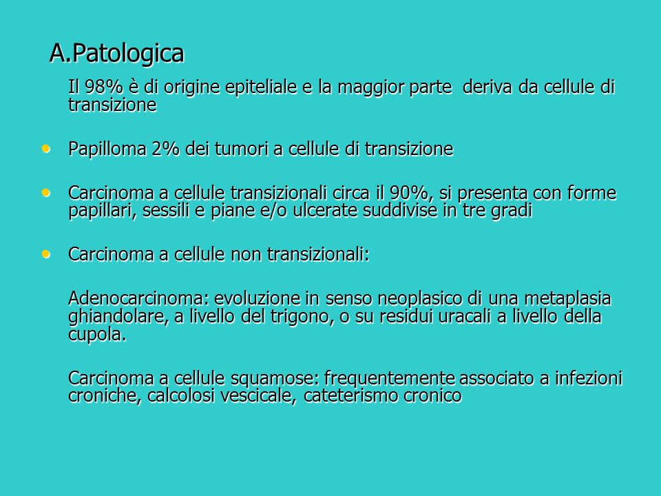 A.Patologica Papilloma 2% dei tumori a cellule di transizione