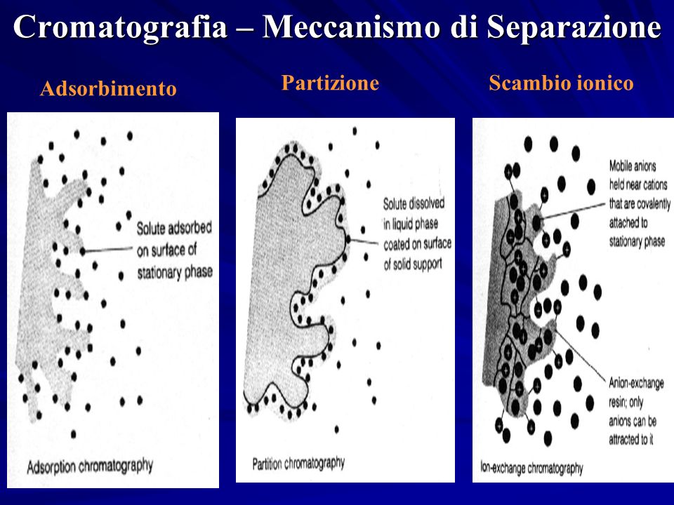 Cromatografia – Meccanismo di Separazione