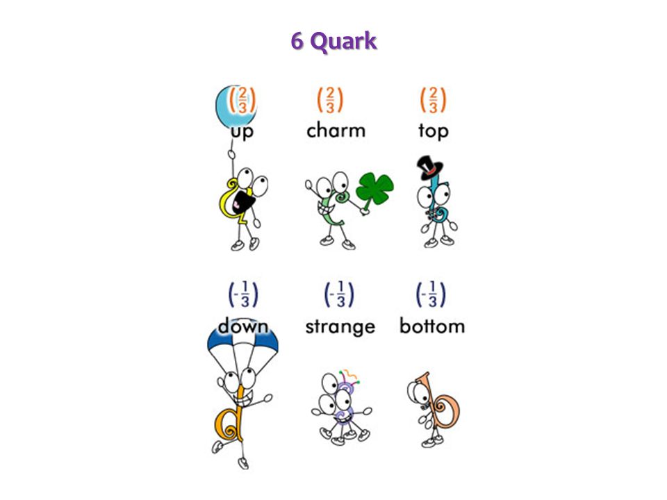 6 Quark