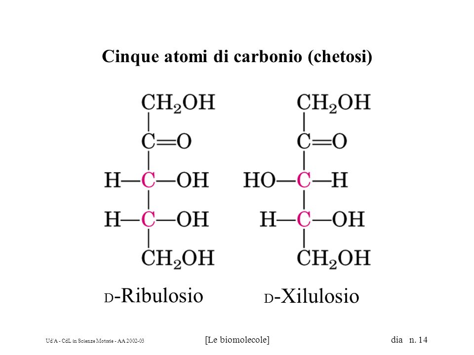 Cinque atomi di carbonio (chetosi)