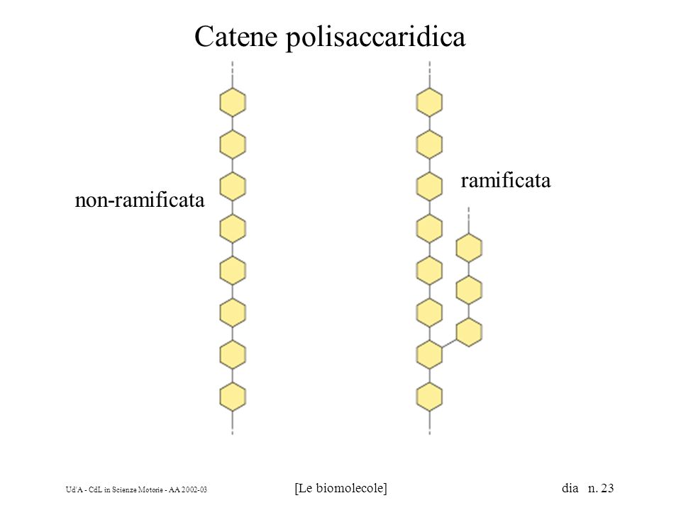Catene polisaccaridica