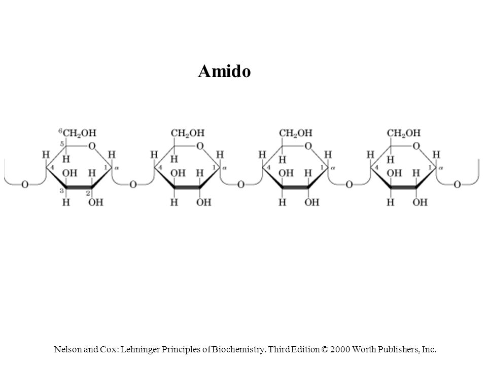 Amido Nelson and Cox: Lehninger Principles of Biochemistry.