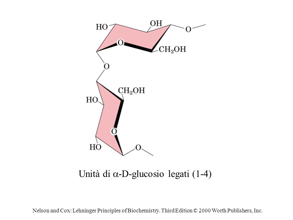 Unità di a-D-glucosio legati (1-4)