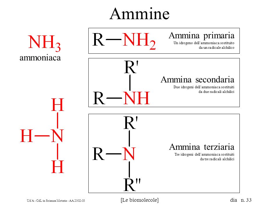 Ammine Ammina primaria ammoniaca Ammina secondaria Ammina terziaria