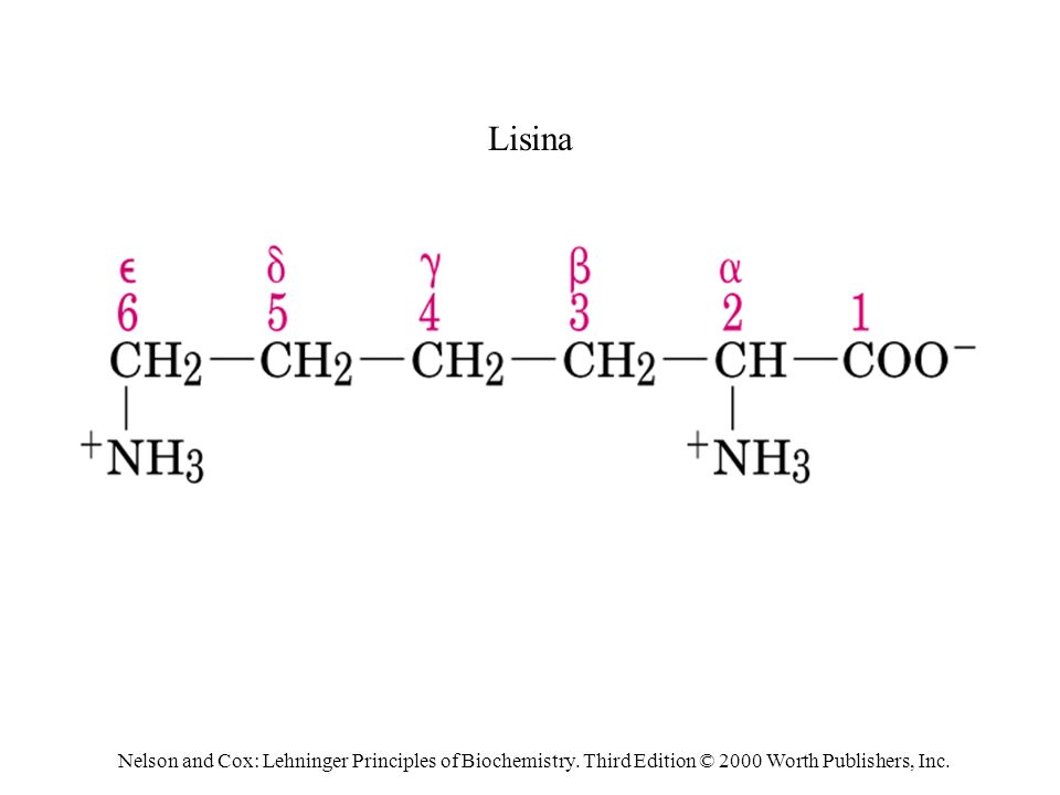 Lisina Nelson and Cox: Lehninger Principles of Biochemistry.