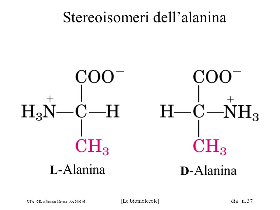 Stereoisomeri dell’alanina