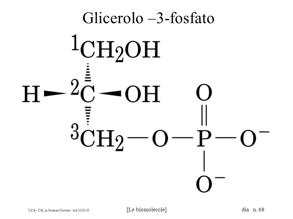 Glicerolo –3-fosfato