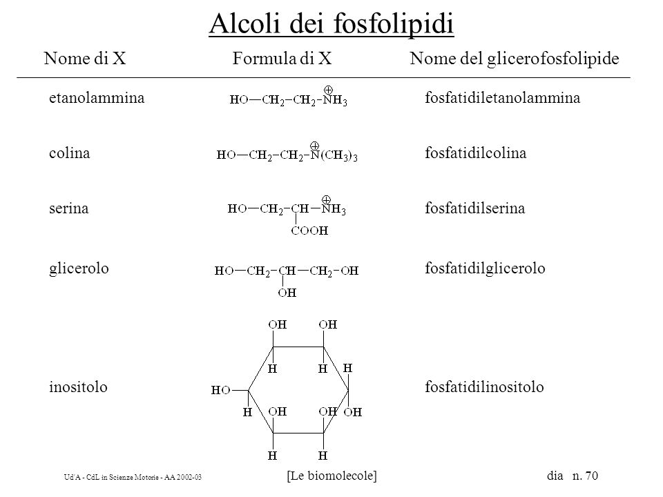 Alcoli dei fosfolipidi