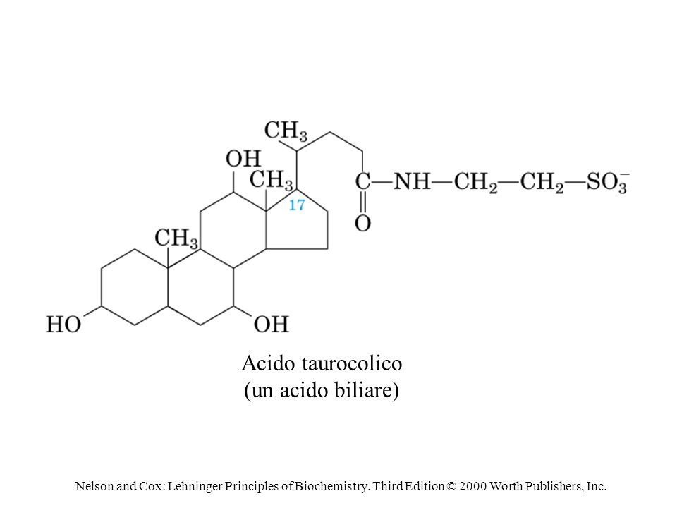 Acido taurocolico (un acido biliare)