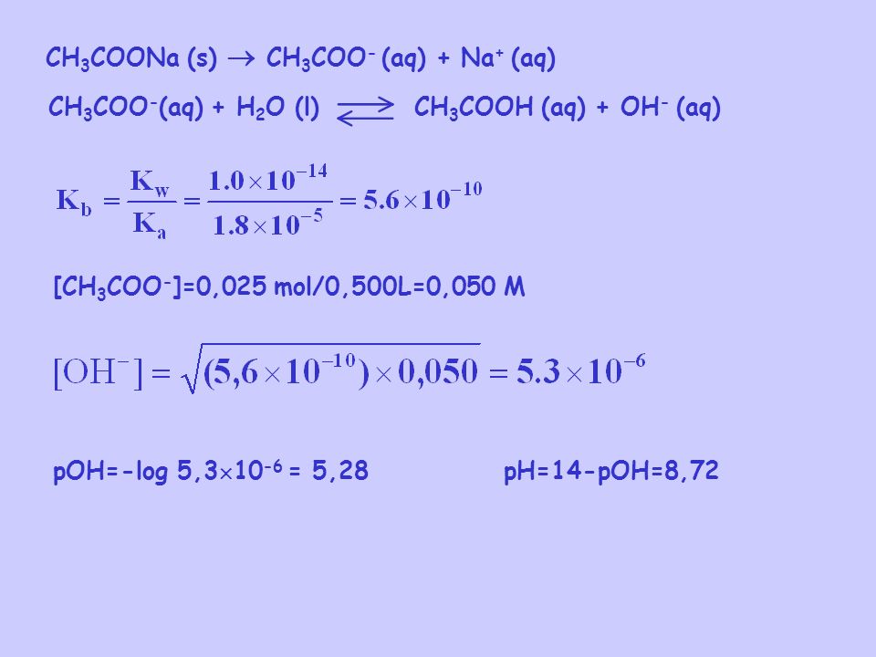 CH3COONa (s)  CH3COO- (aq) + Na+ (aq)