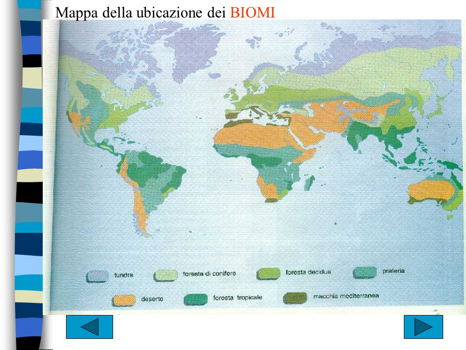Mappa della ubicazione dei BIOMI