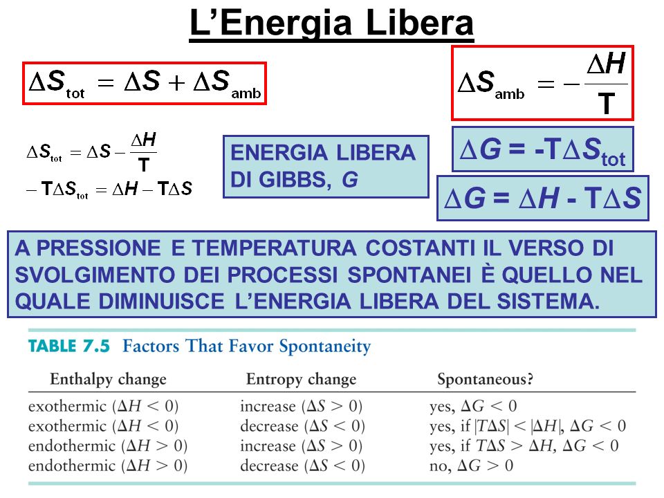 L’Energia Libera DG = -TDStot DG = DH - TDS ENERGIA LIBERA DI GIBBS, G