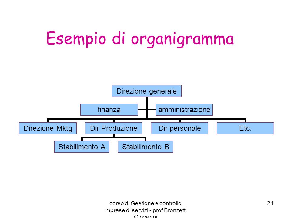 Esempio di organigramma