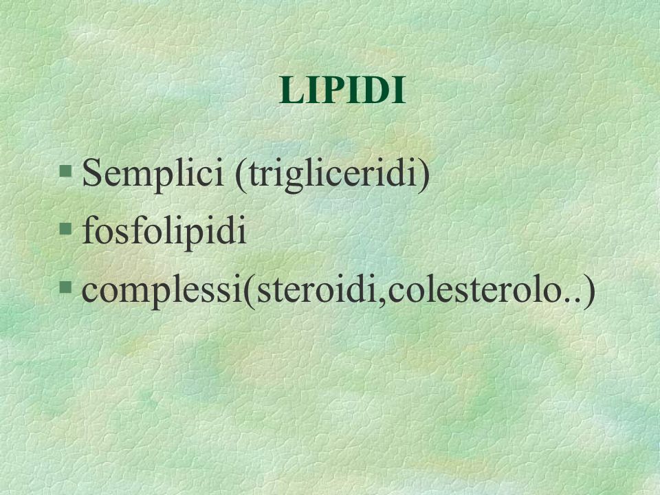 LIPIDI Semplici (trigliceridi) fosfolipidi complessi(steroidi,colesterolo..)
