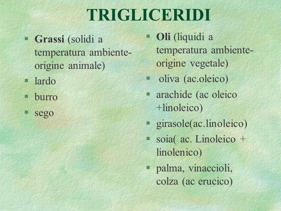 TRIGLICERIDI Oli (liquidi a temperatura ambiente-origine vegetale)