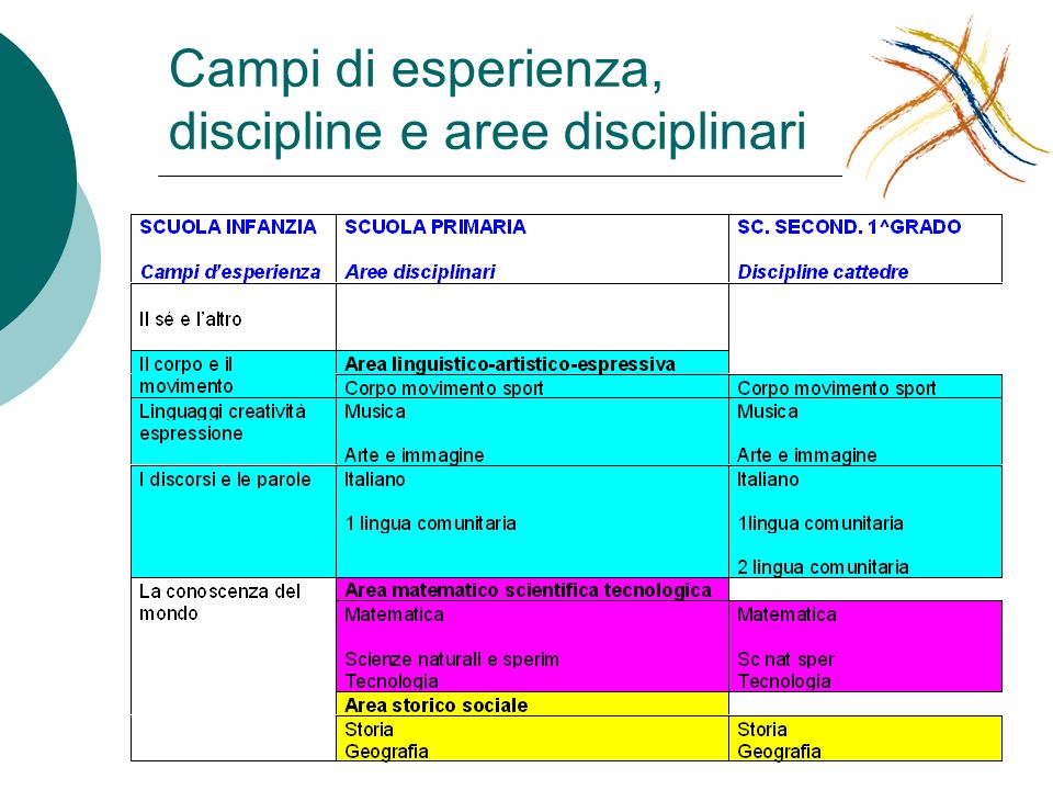 Campi di esperienza, discipline e aree disciplinari
