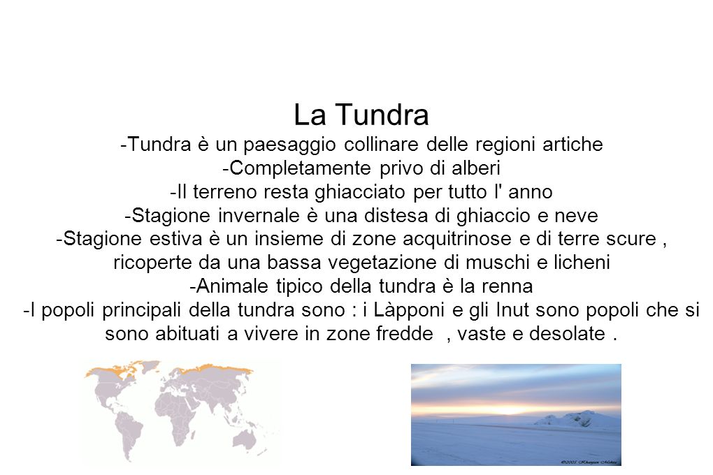 La Tundra -Tundra è un paesaggio collinare delle regioni artiche -Completamente privo di alberi -Il terreno resta ghiacciato per tutto l anno -Stagione invernale è una distesa di ghiaccio e neve -Stagione estiva è un insieme di zone acquitrinose e di terre scure , ricoperte da una bassa vegetazione di muschi e licheni -Animale tipico della tundra è la renna -I popoli principali della tundra sono : i Làpponi e gli Inut sono popoli che si sono abituati a vivere in zone fredde , vaste e desolate .
