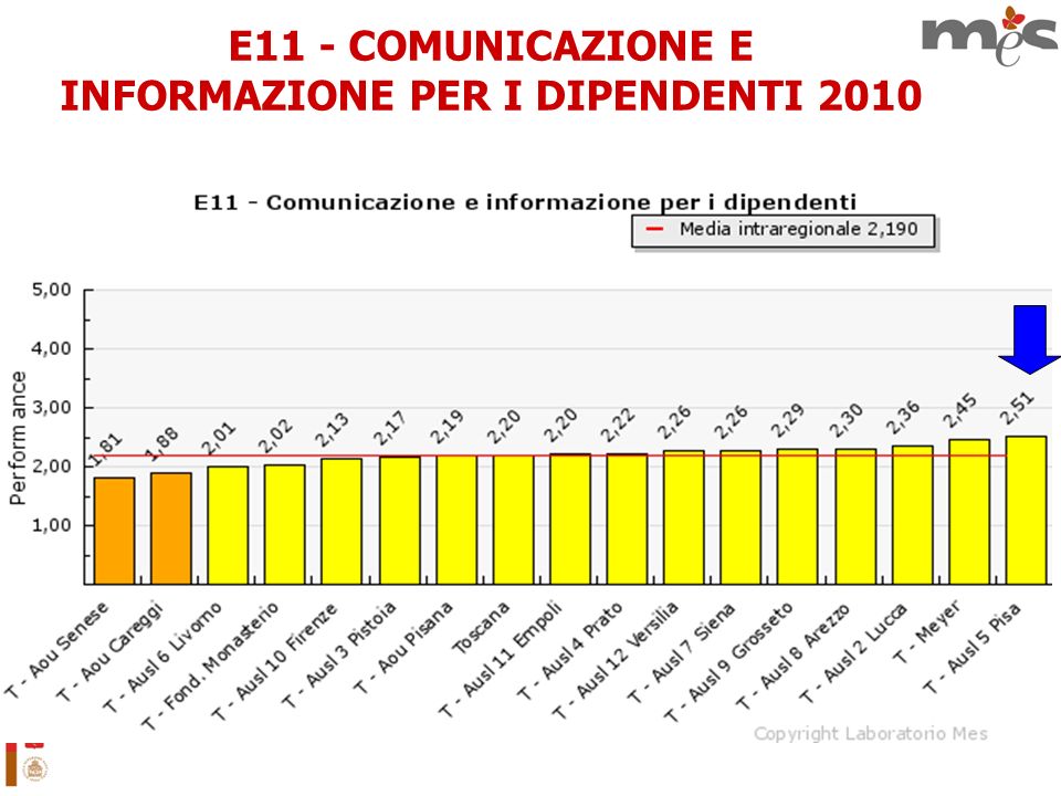 E11 - COMUNICAZIONE E INFORMAZIONE PER I DIPENDENTI 2010
