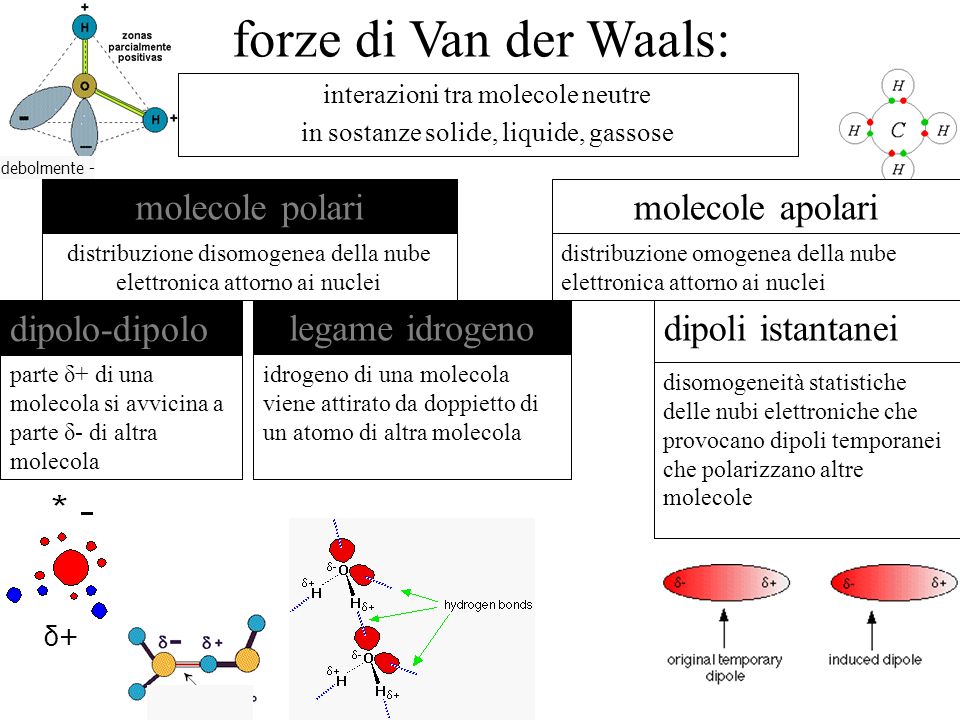 forze di Van der Waals: molecole polari molecole apolari dipolo-dipolo