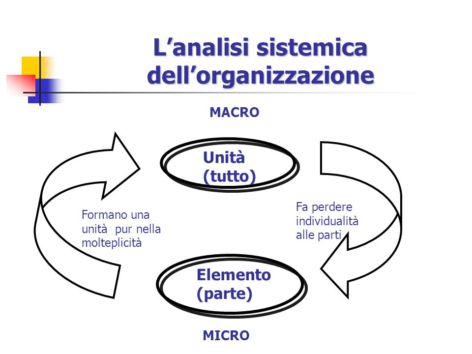 L’analisi sistemica dell’organizzazione