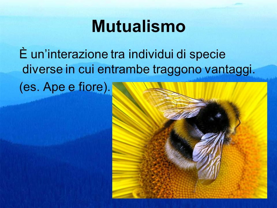 Mutualismo È un’interazione tra individui di specie diverse in cui entrambe traggono vantaggi.
