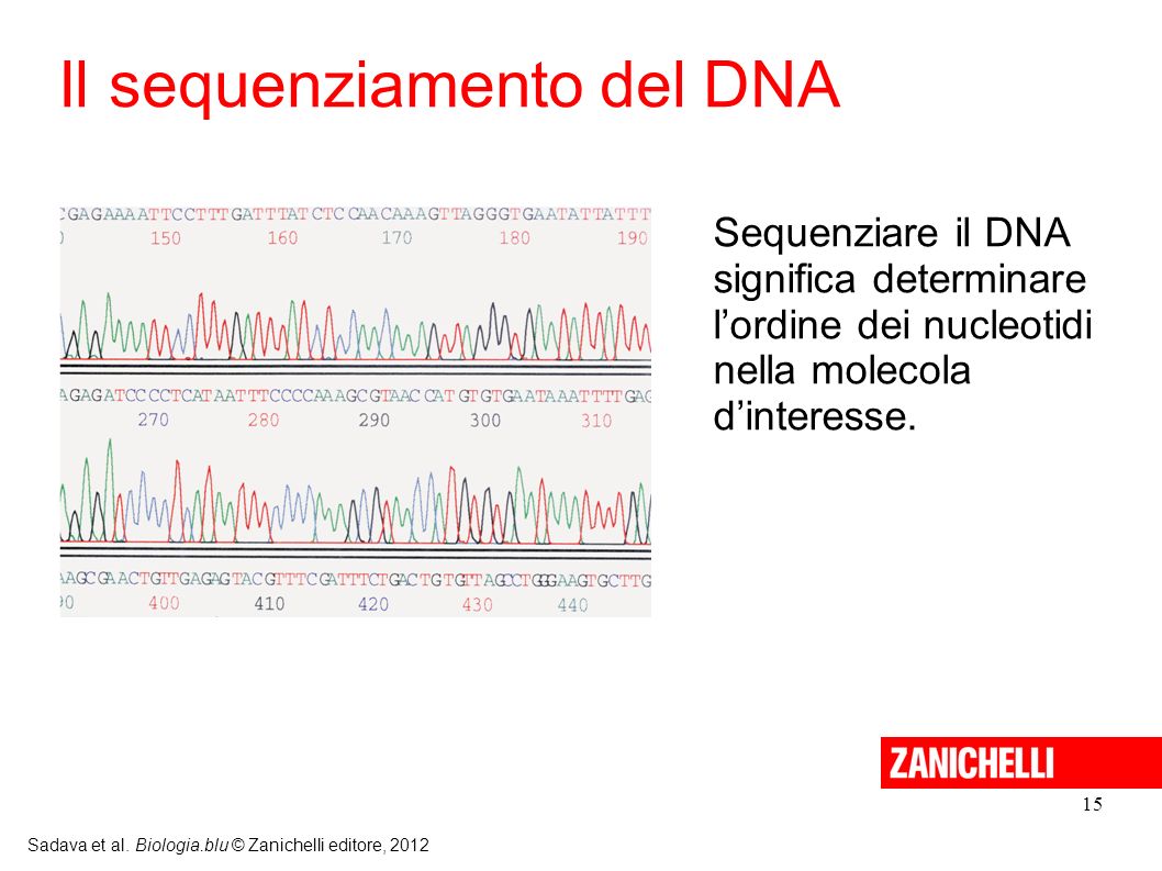 Il sequenziamento del DNA