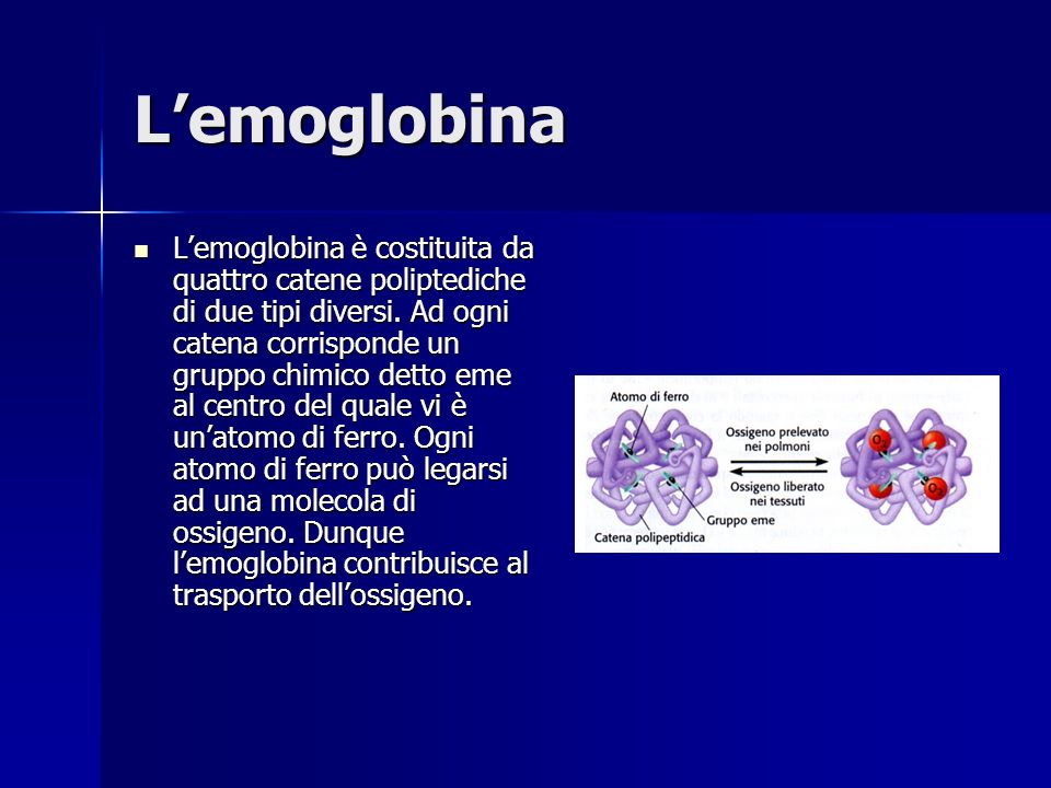 L’emoglobina