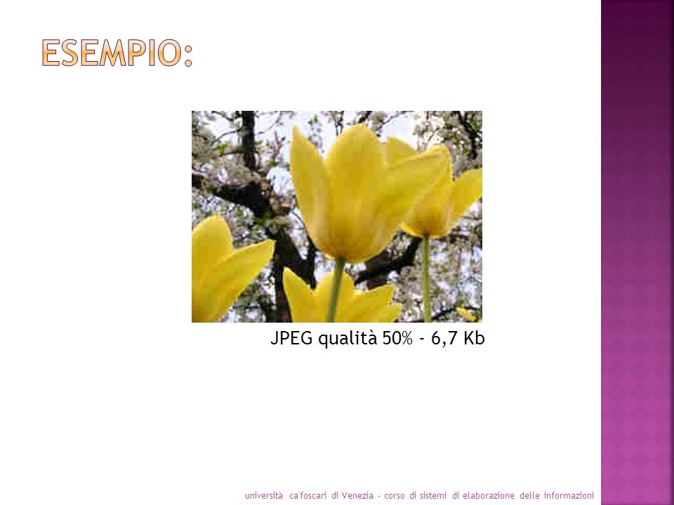 Esempio: JPEG qualità 50% - 6,7 Kb