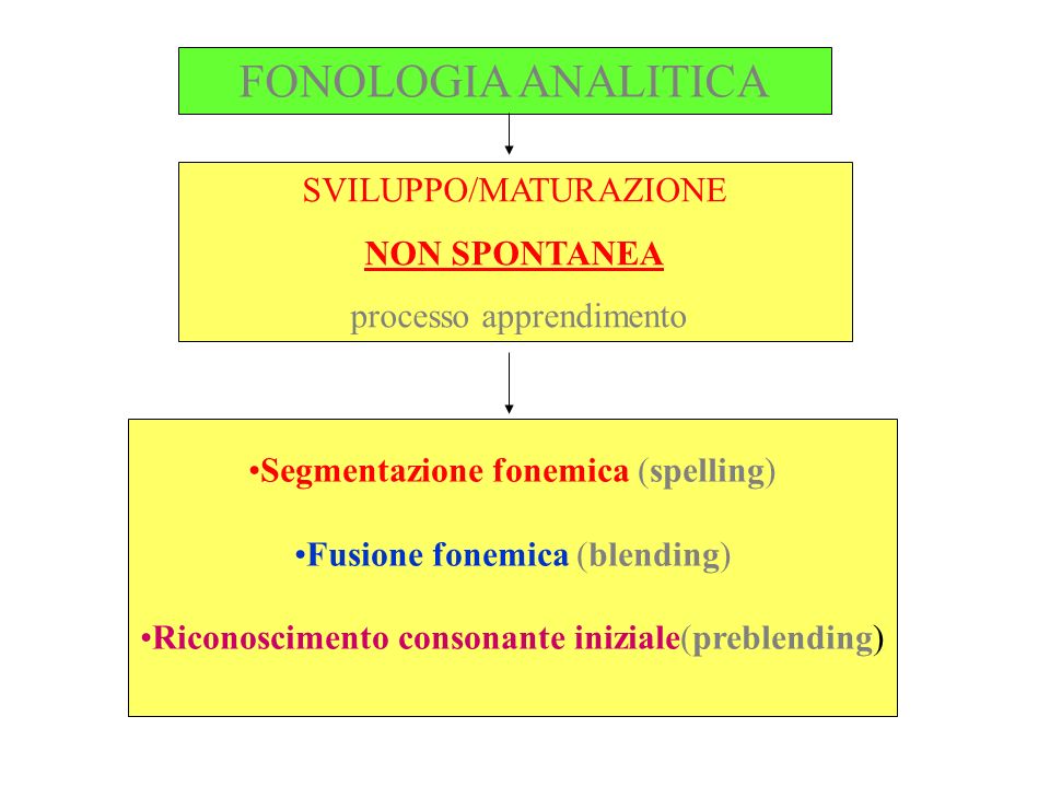 FONOLOGIA ANALITICA SVILUPPO/MATURAZIONE NON SPONTANEA