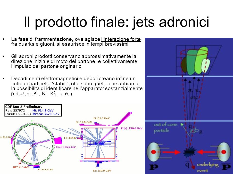 Il prodotto finale: jets adronici