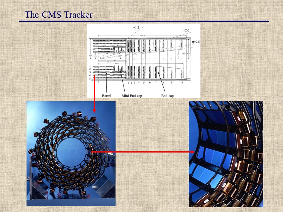 The CMS Tracker