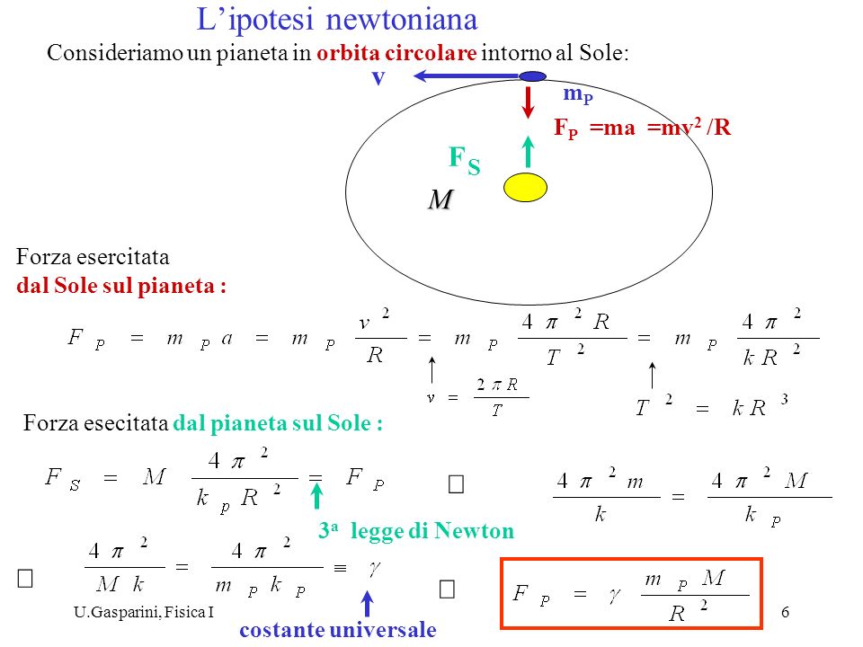 L’ipotesi newtoniana v F M Þ Þ Þ