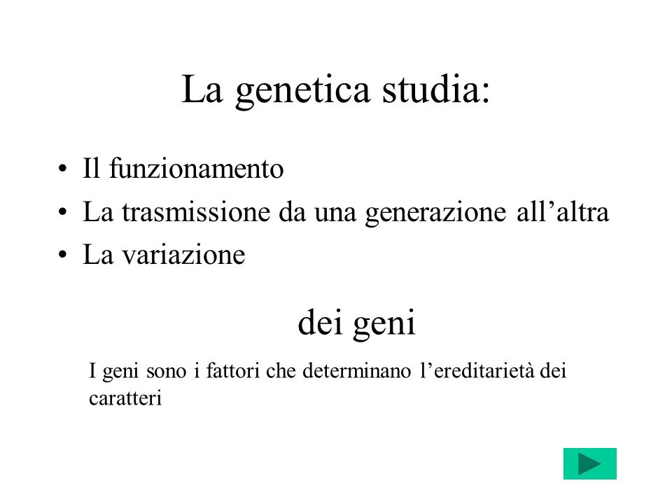 La genetica studia: dei geni Il funzionamento