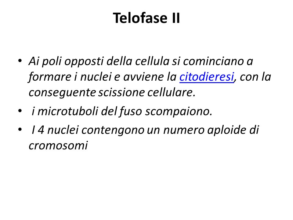 Telofase II Ai poli opposti della cellula si cominciano a formare i nuclei e avviene la citodieresi, con la conseguente scissione cellulare.