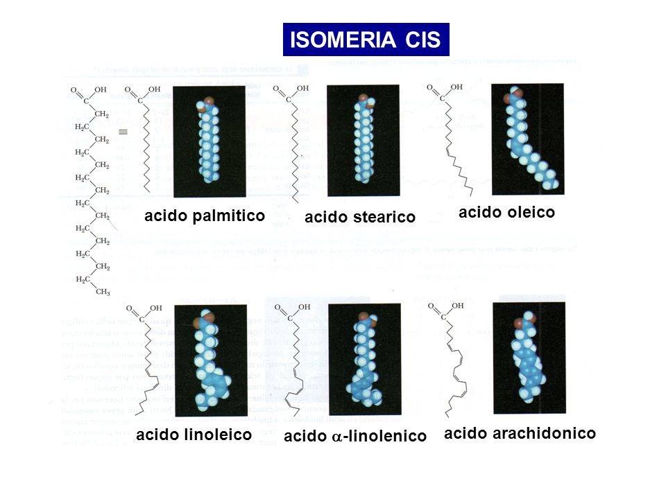 ISOMERIA CIS acido oleico acido palmitico acido stearico