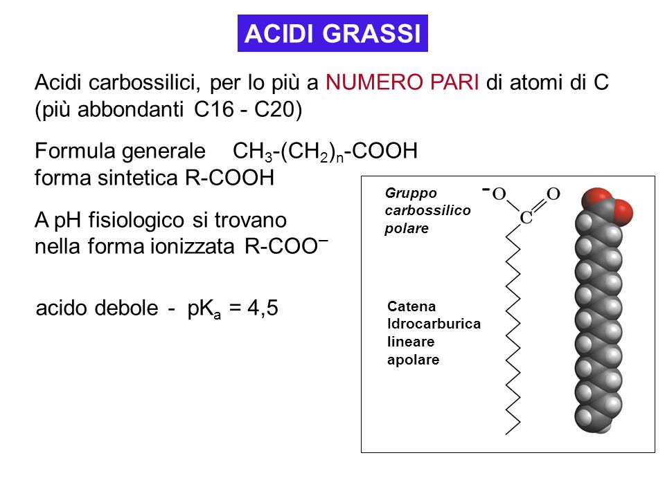 ACIDI GRASSI Acidi carbossilici, per lo più a NUMERO PARI di atomi di C (più abbondanti C16 - C20) Formula generale CH3-(CH2)n-COOH.