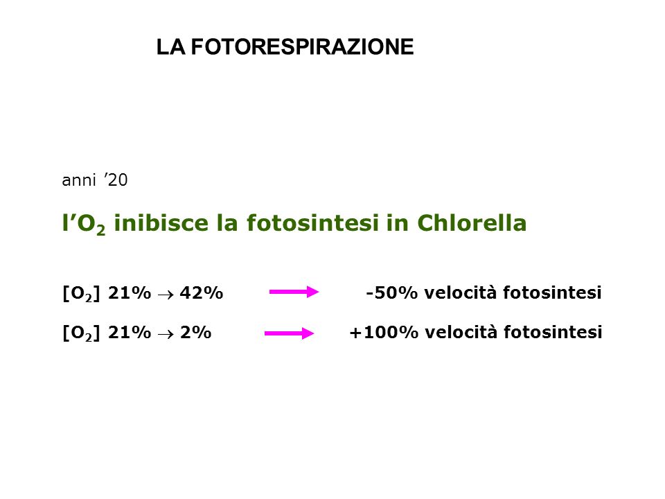 l’O2 inibisce la fotosintesi in Chlorella